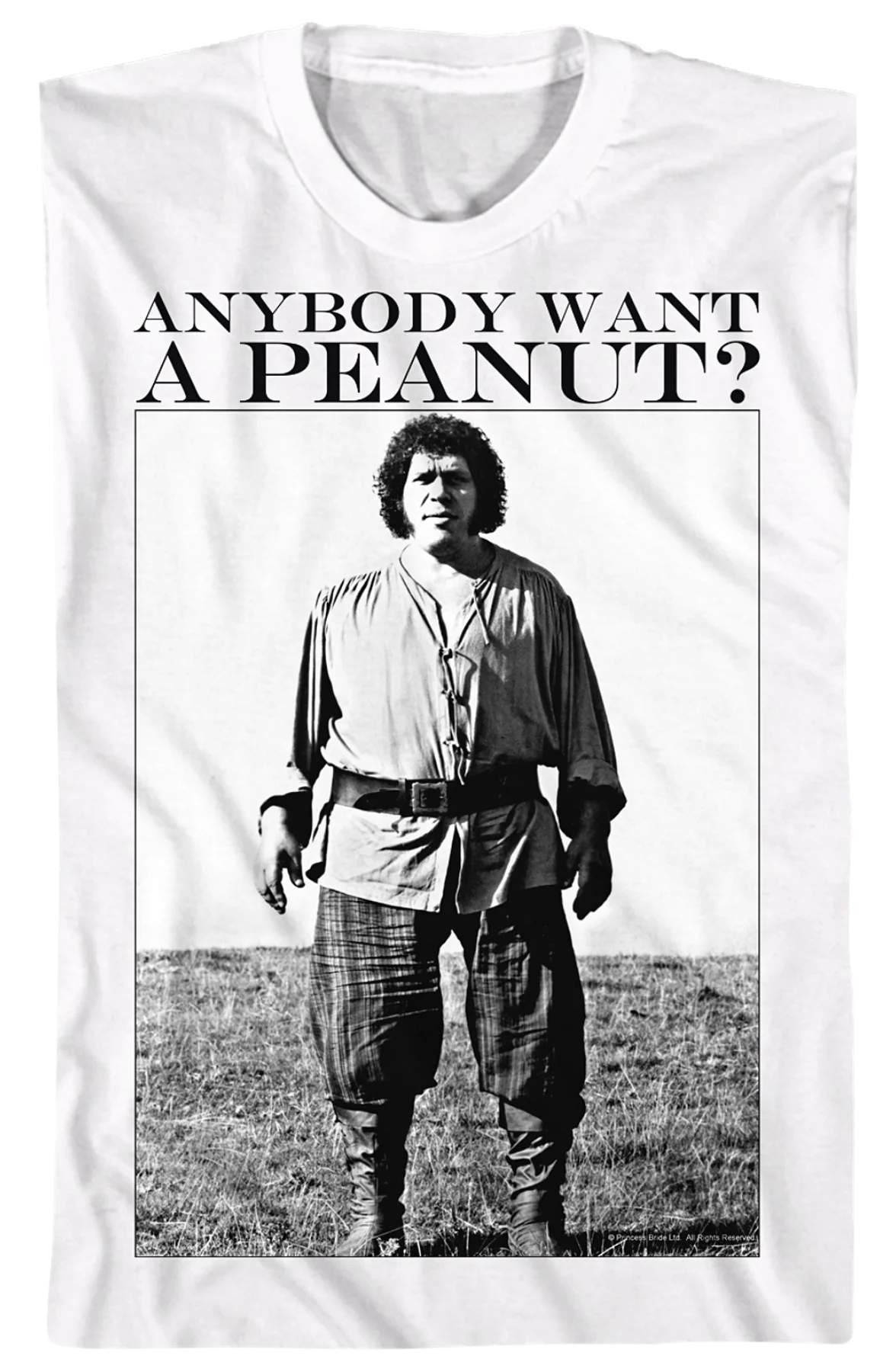 Anybody Want A Peanut Princess Bride T-Shirt - Image 2