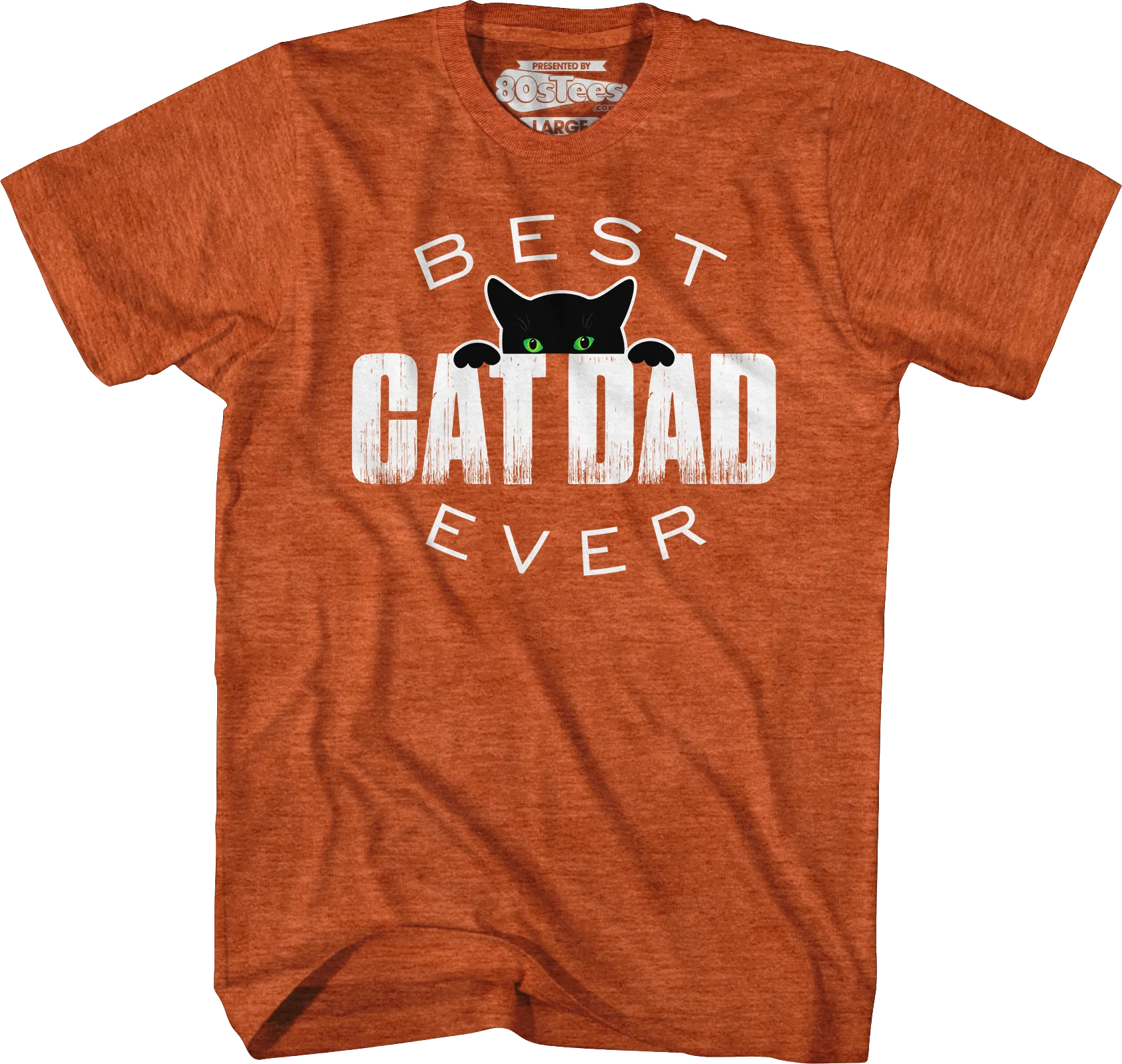 Best Cat Dad Ever T-Shirt - Image 6