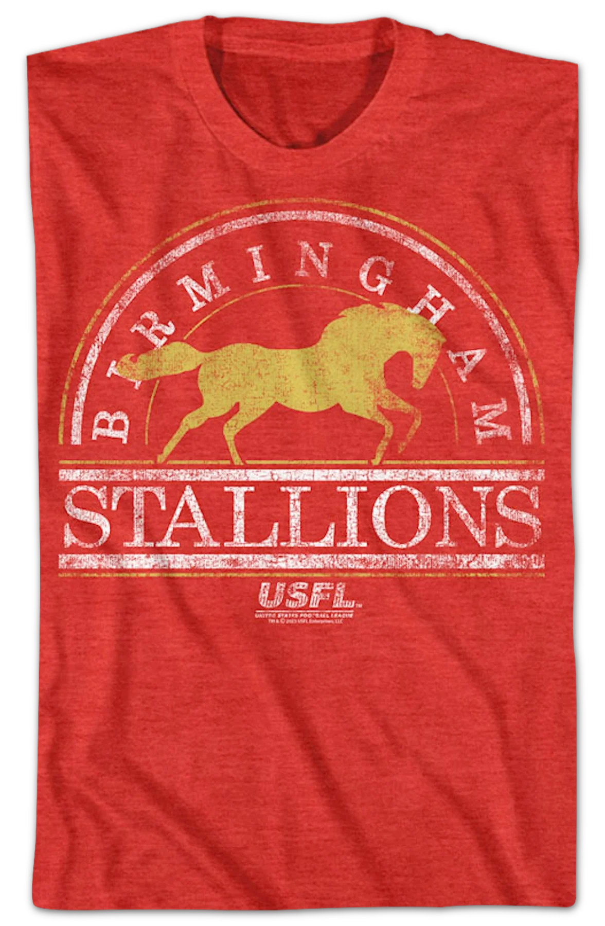 Birmingham Stallions USFL T-Shirt - Image 2