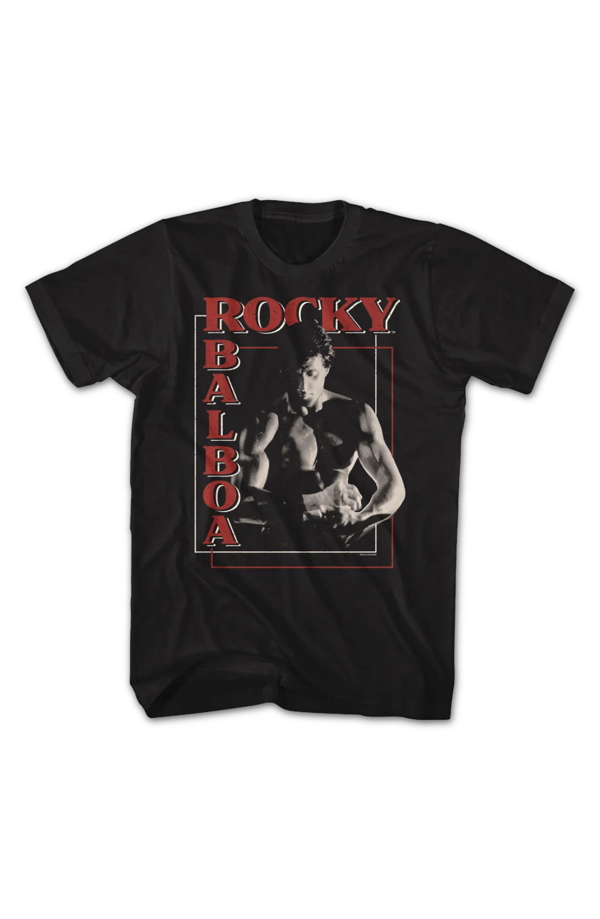 Boxer's Boxes Rocky T-Shirt - Image 2