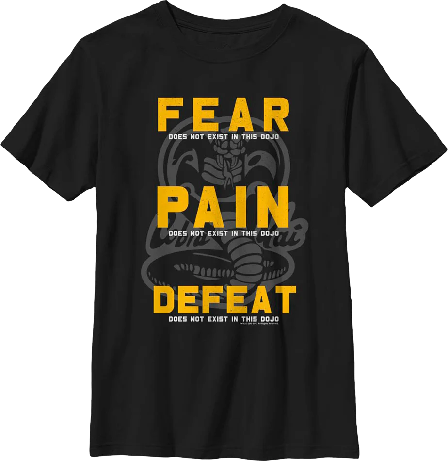 Boys Youth Fear Pain Defeat Do Not Exist In This Dojo Cobra Kai Shirt - Image 2