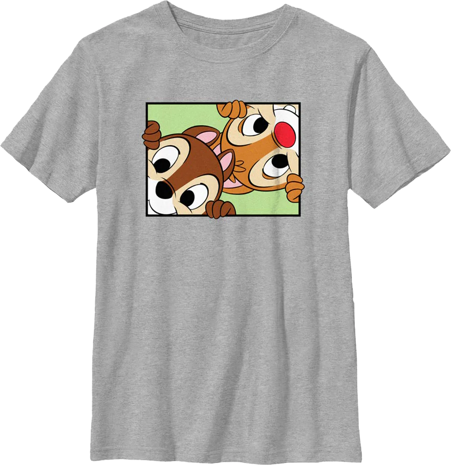 Boys Youth Peek-a-Boo Chip 'n Dale Rescue Rangers Shirt