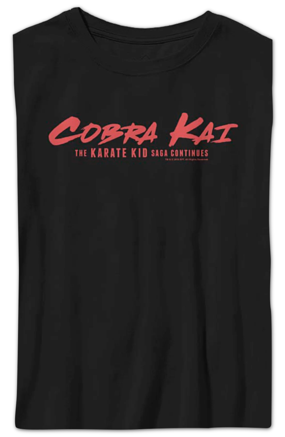Boys Youth Saga Continues Cobra Kai Shirt