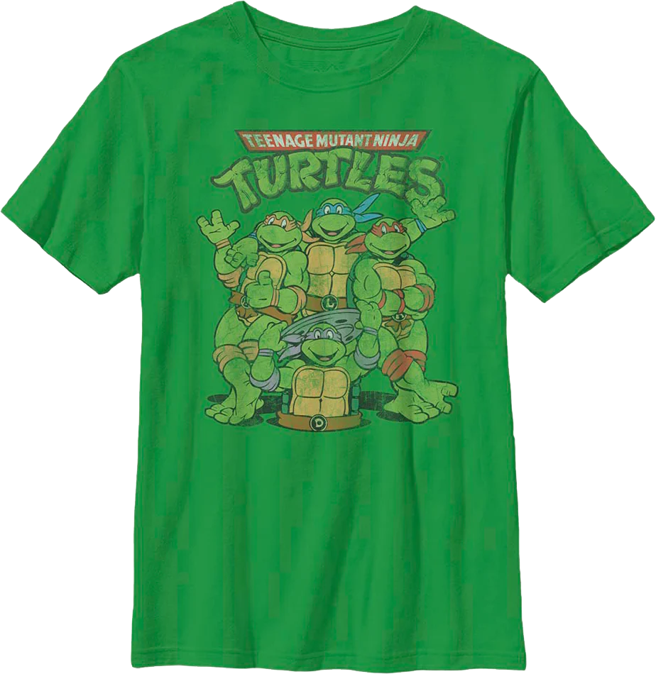 Boys Youth Teenage Mutant Ninja Turtles Shirt