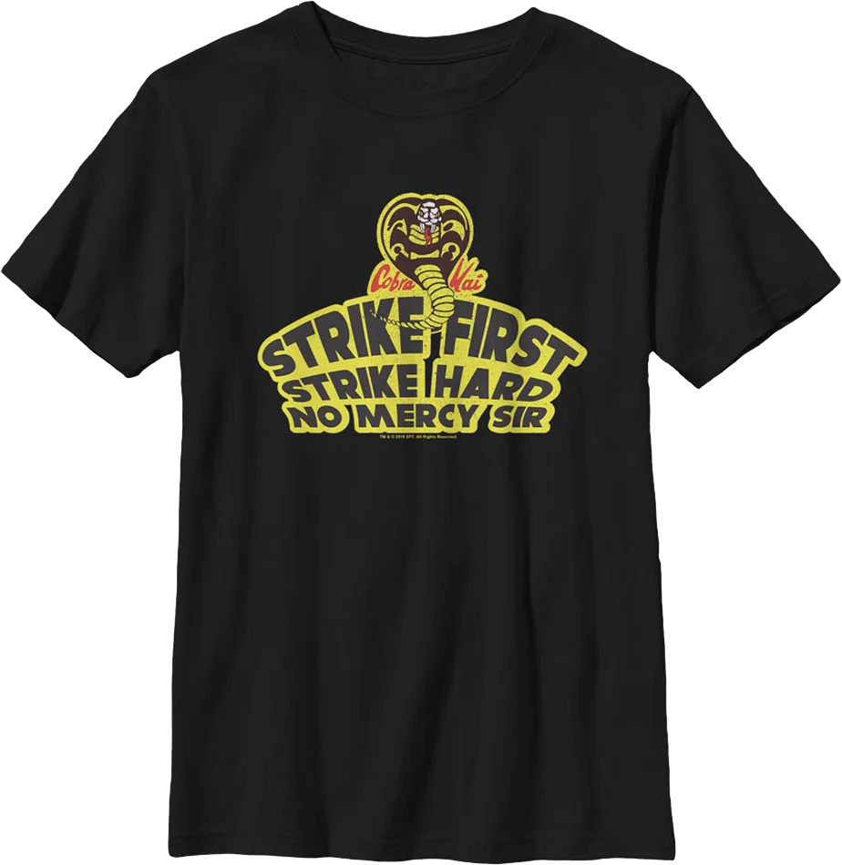 Boys Youth Way Of The Fist Cobra Kai Shirt - Image 2