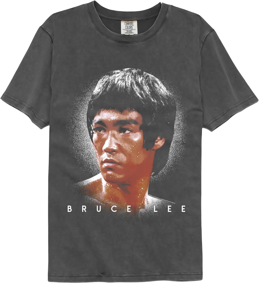Bruce Lee Shadow Strike Comfort Colors Brand T-Shirt