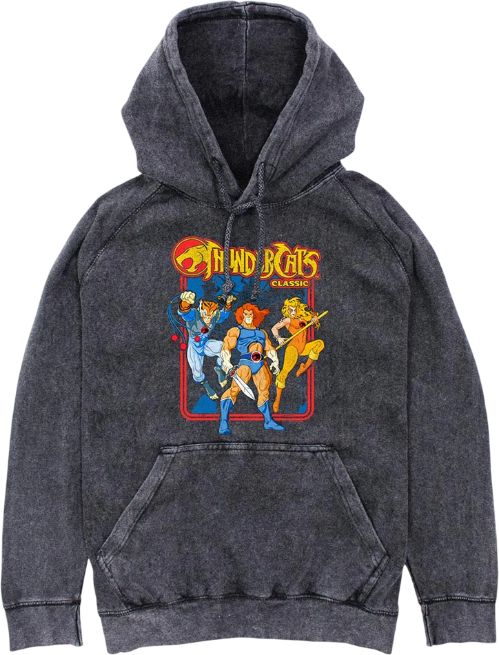 Classic Hero Poses ThunderCats Hoodie