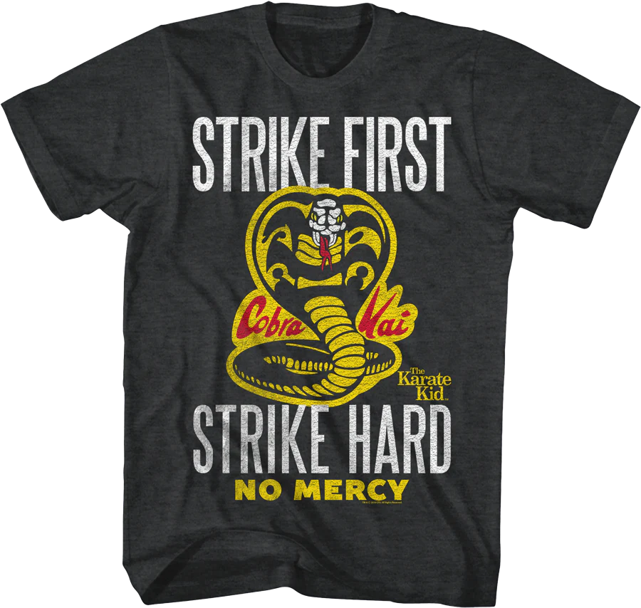 Cobra Kai T-Shirt/Hoodie/Socks/Keychain/Headband/Plush Pillow Combo - Image 2