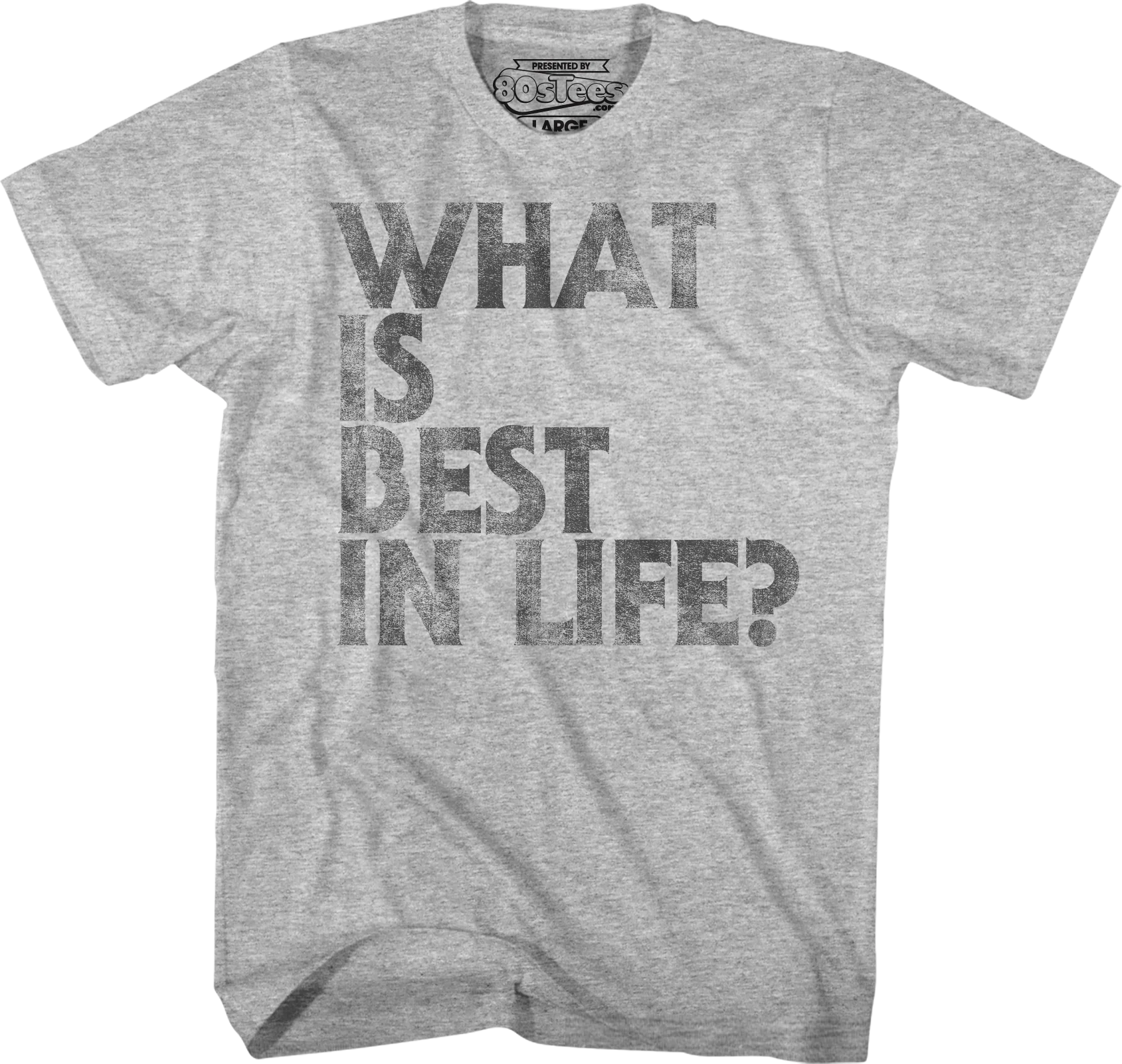 Distressed What Is Best In Life Conan The Barbarian T-Shirt