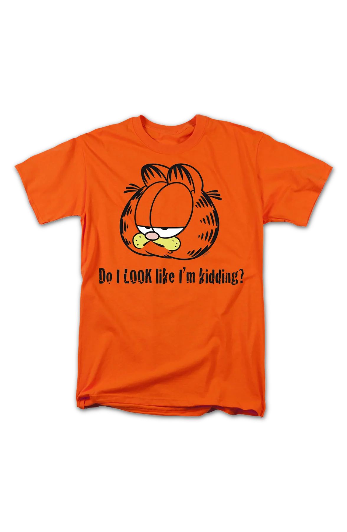 Do I Look Like I'm Kidding Garfield T-Shirt - Image 2