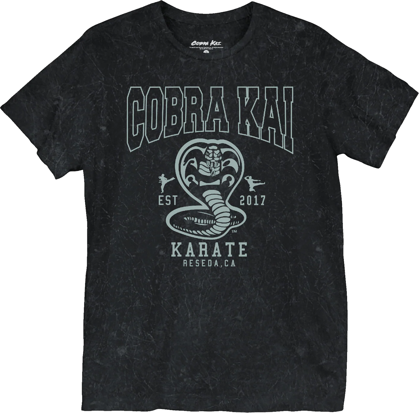 Est. 2017 Cobra Kai T-Shirt