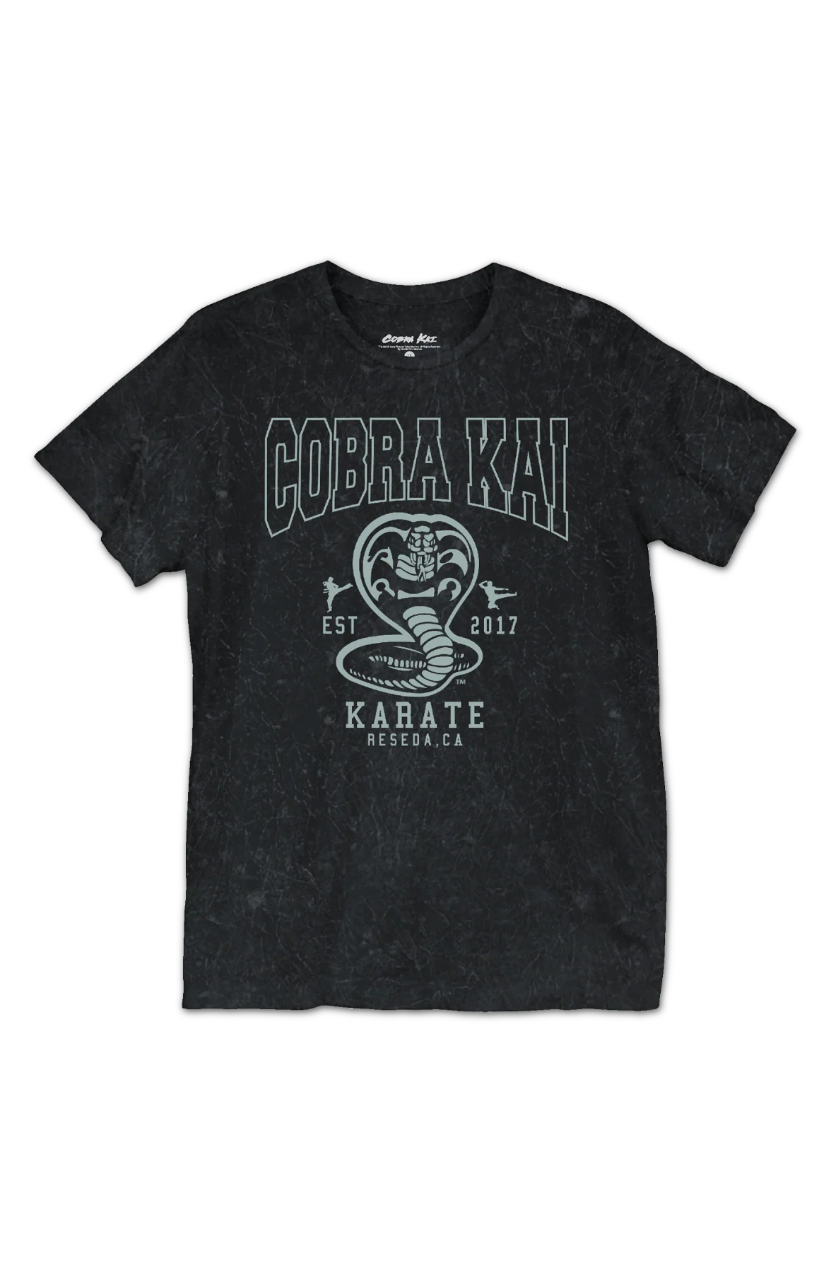 Est. 2017 Cobra Kai T-Shirt - Image 2