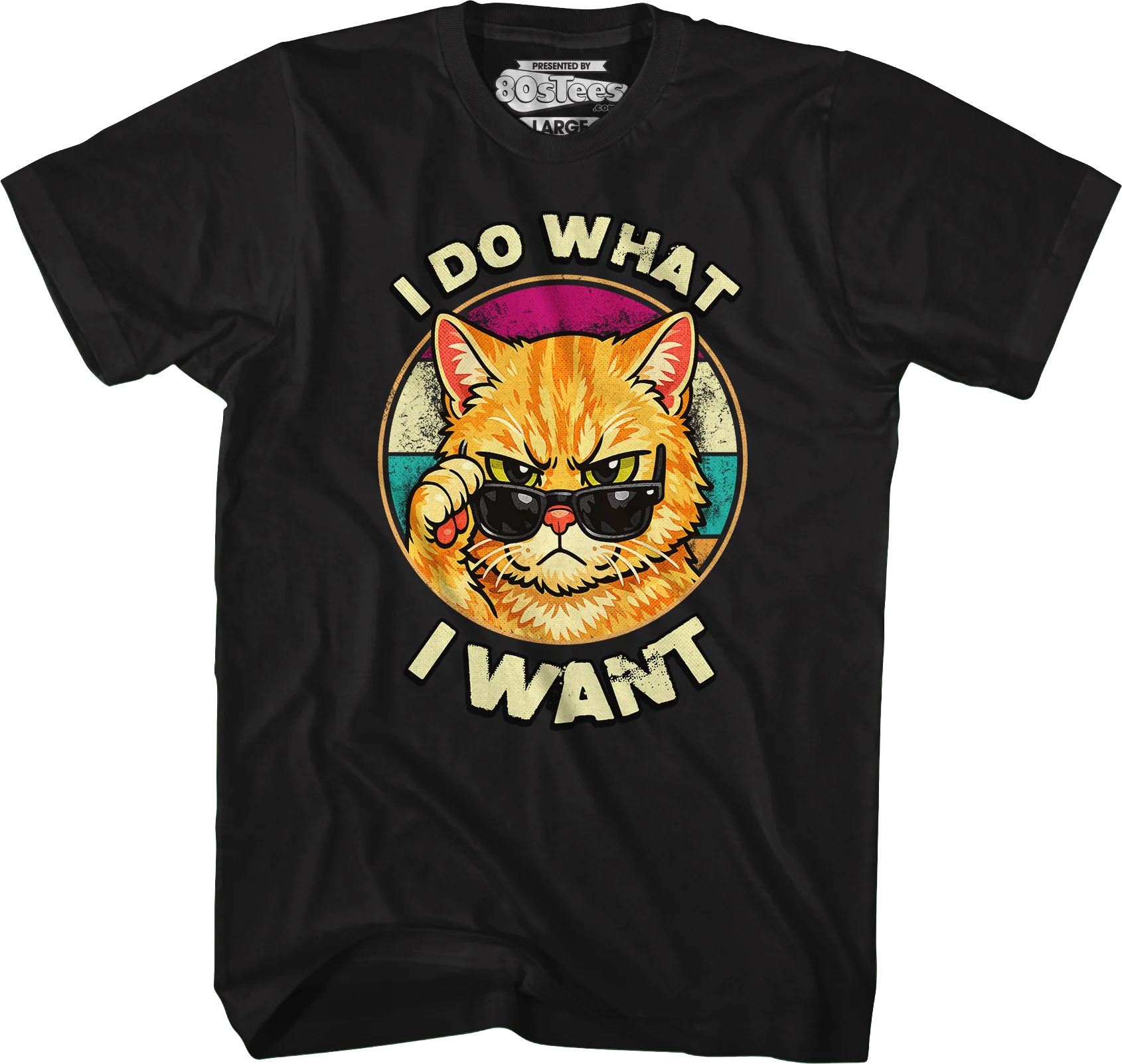 I Do What I Want T-Shirt