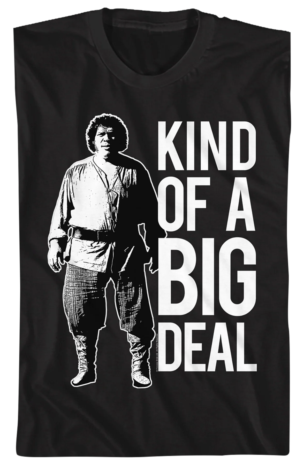 Kind Of A Big Deal Princess Bride T-Shirt - Image 2