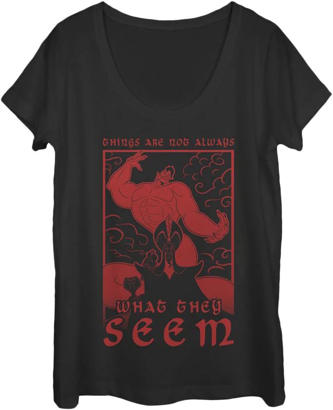 Ladies Things Are Not Always What They Seem Aladdin Scoopneck Shirt