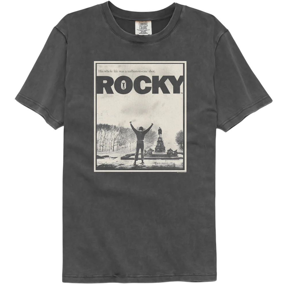 Million To One Shot Rocky Comfort Colors Brand T-Shirt