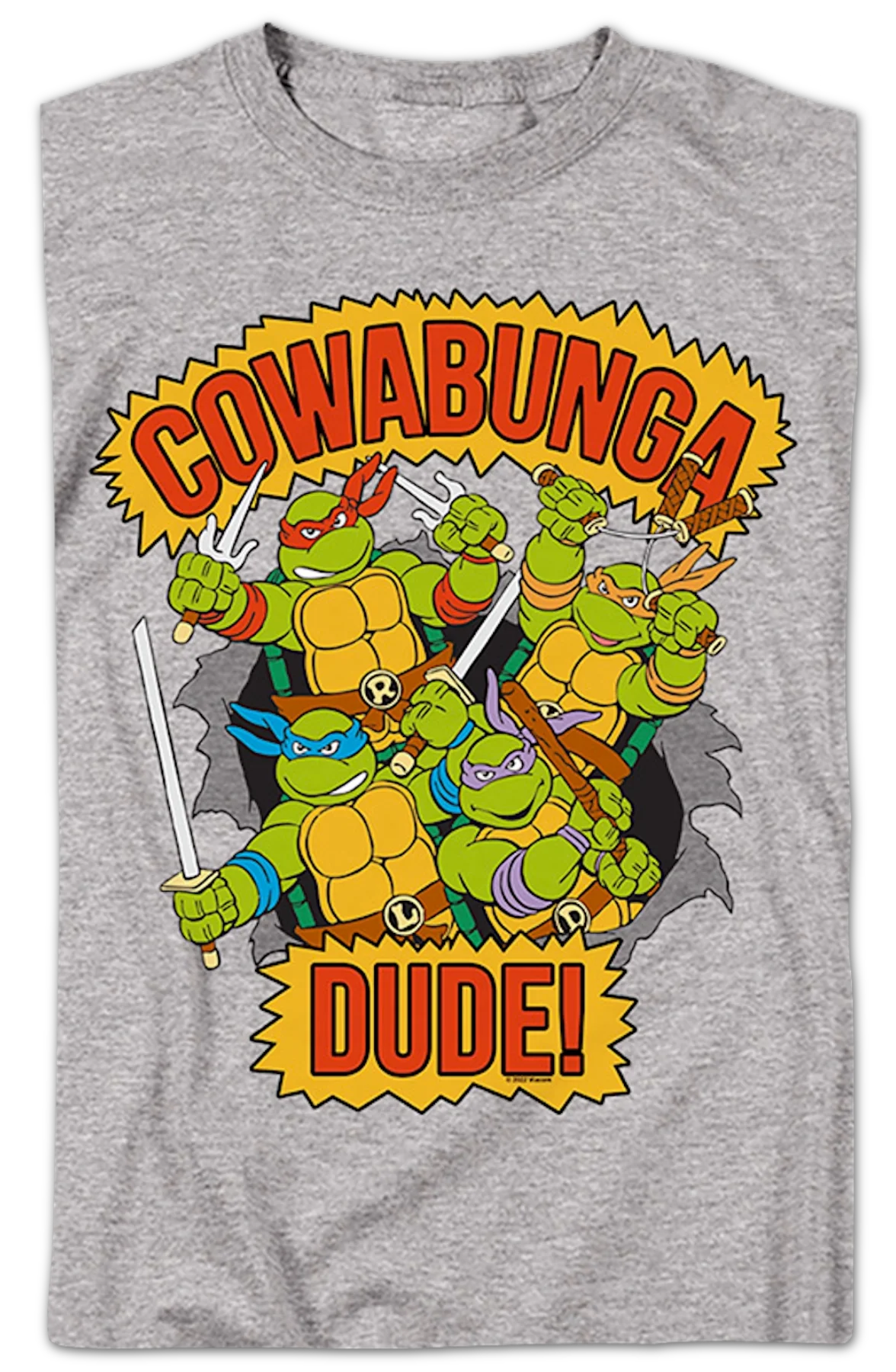 Vintage Cowabunga Dude Teenage Mutant Ninja Turtles T-Shirt - Image 2