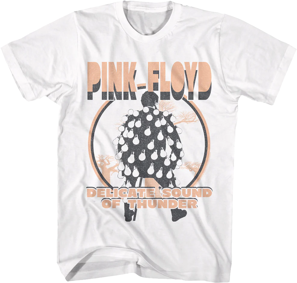 Vintage Delicate Sound Of Thunder Pink Floyd T-Shirt