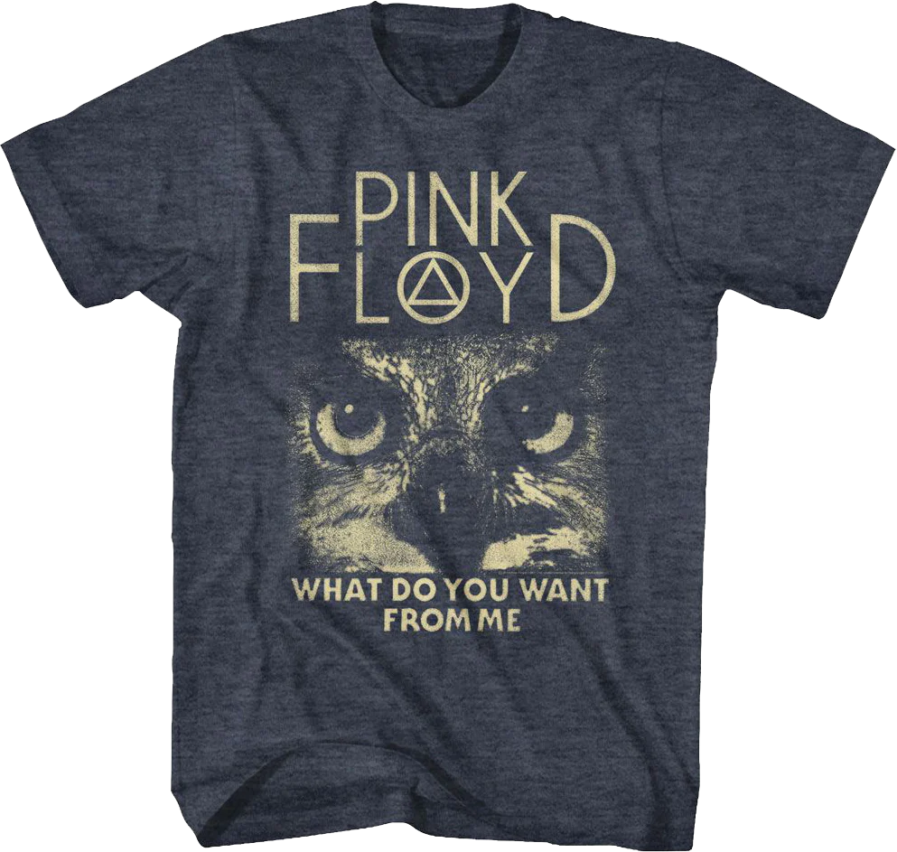 What Do You Want From Me Pink Floyd T-Shirt
