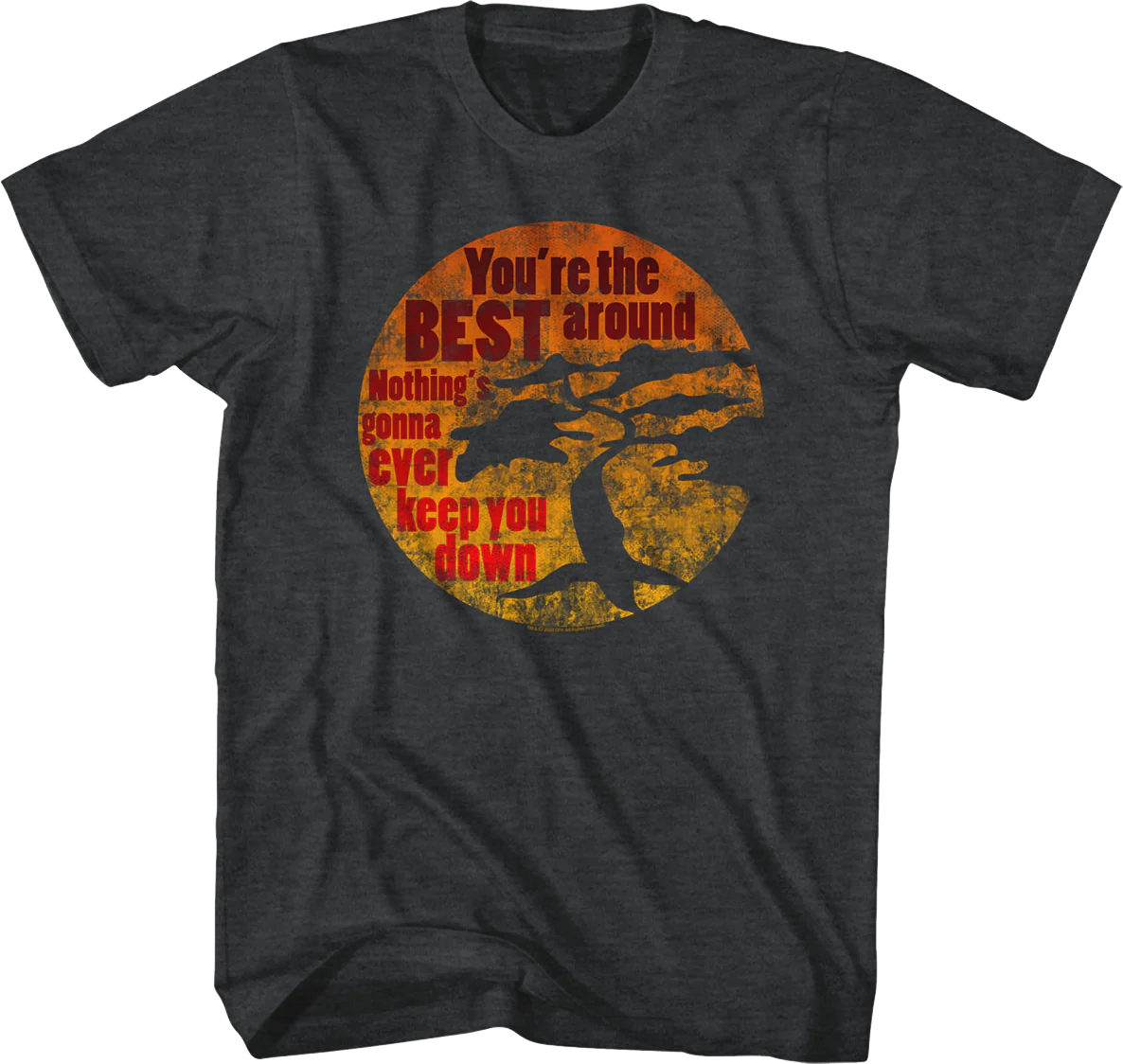 You're The Best Around Karate Kid T-Shirt