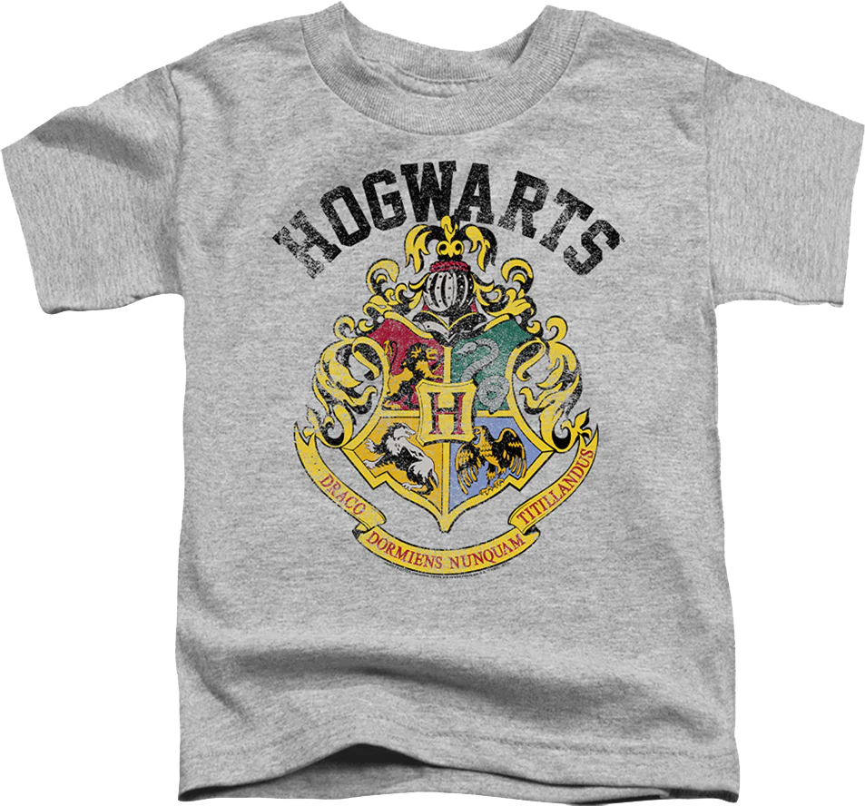 Youth Vintage Hogwarts Crest Harry Potter Shirt