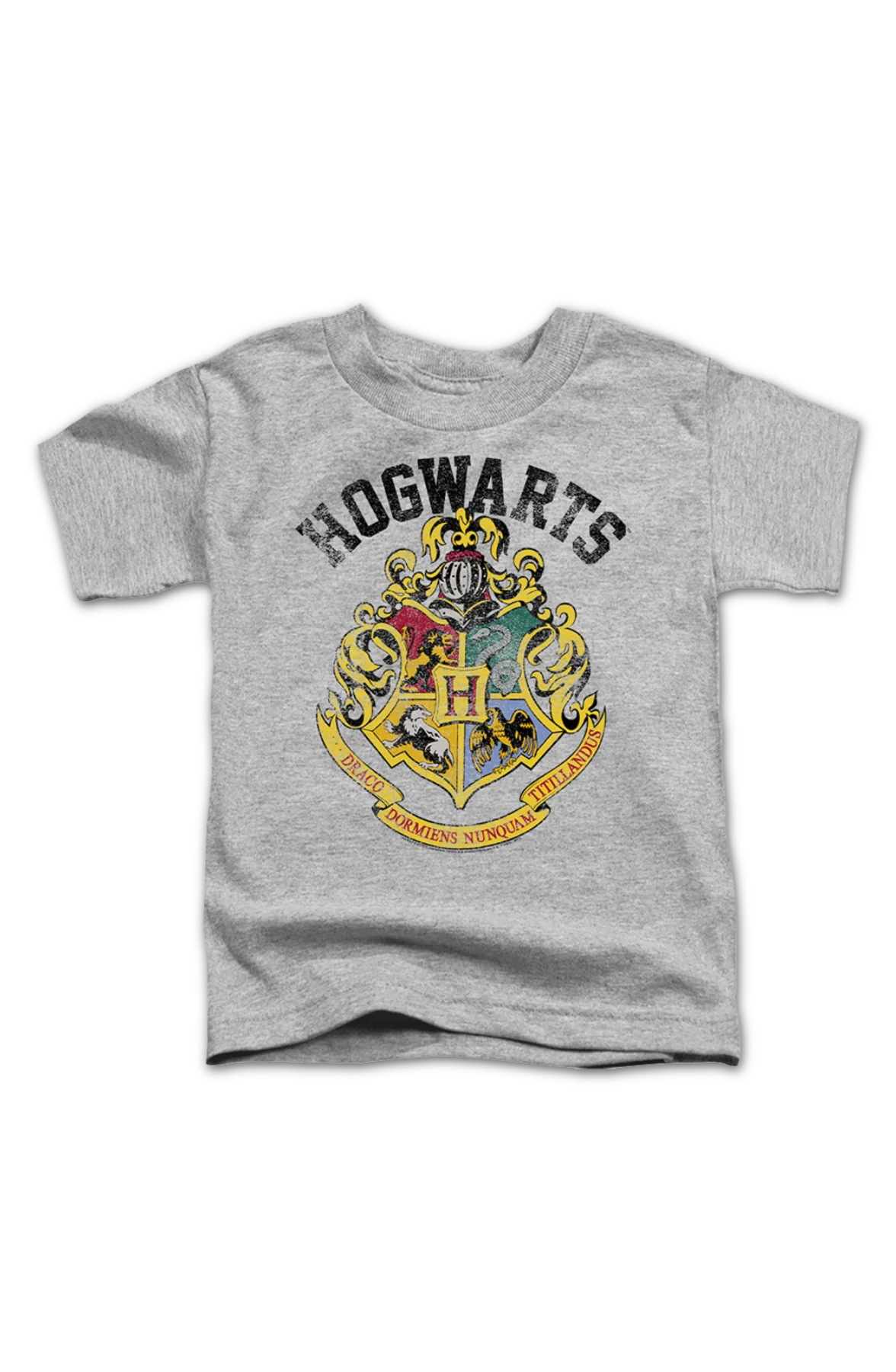 Youth Vintage Hogwarts Crest Harry Potter Shirt - Image 2